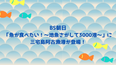 BS朝日「魚が食べたい！～地魚さがして3000港～」に三宅島阿古漁港が登場！
