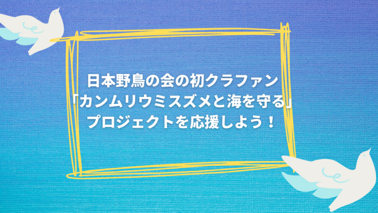 日本野鳥の会の初クラファン「カンムリウミスズメと海を守る