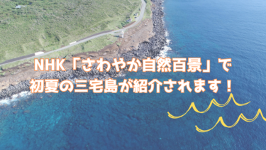 NHK「さわやか自然百景」で初夏の三宅島が紹介されます！